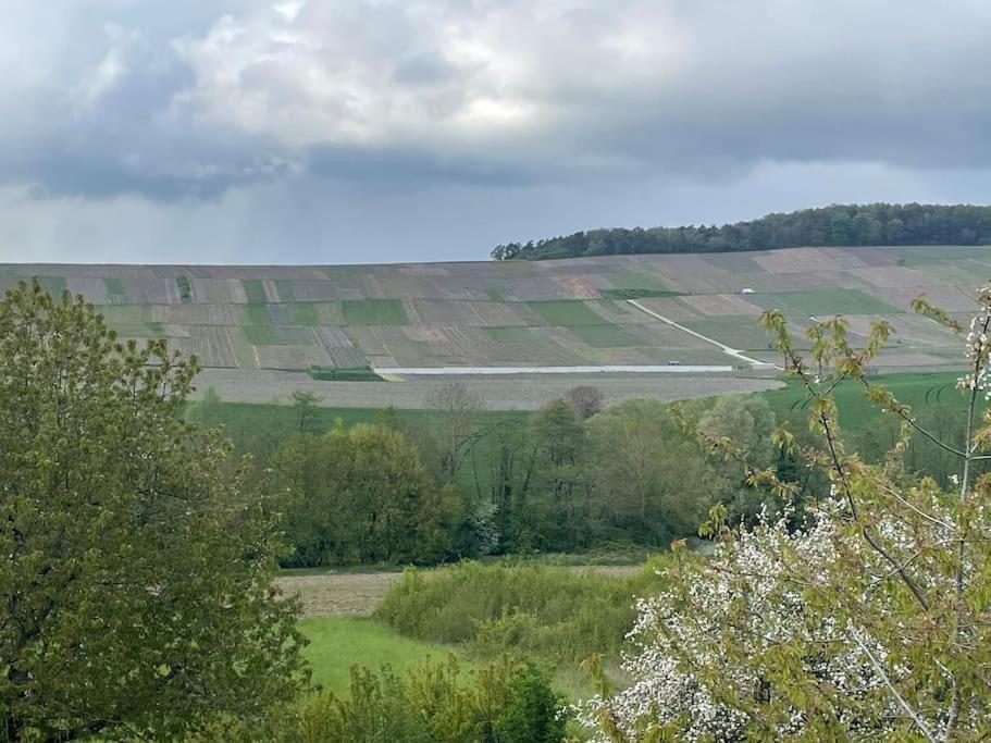 Maison D'Hotes Baslieux-sous-Chatillon 외부 사진